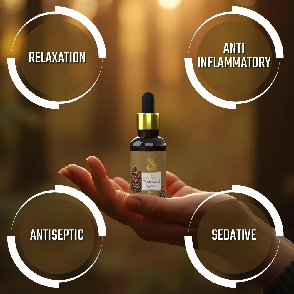 RBV B2B Atharva Ceaderwood Essential Oil (15ml)-12 Pcs.
